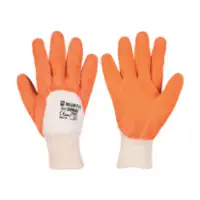 Rukavice Standard Fotografija Rukavice Standard