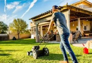 Bašta Picture for category Bašta